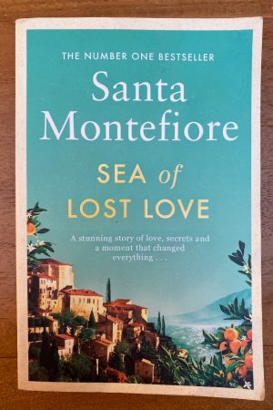 Sea of Lost Love