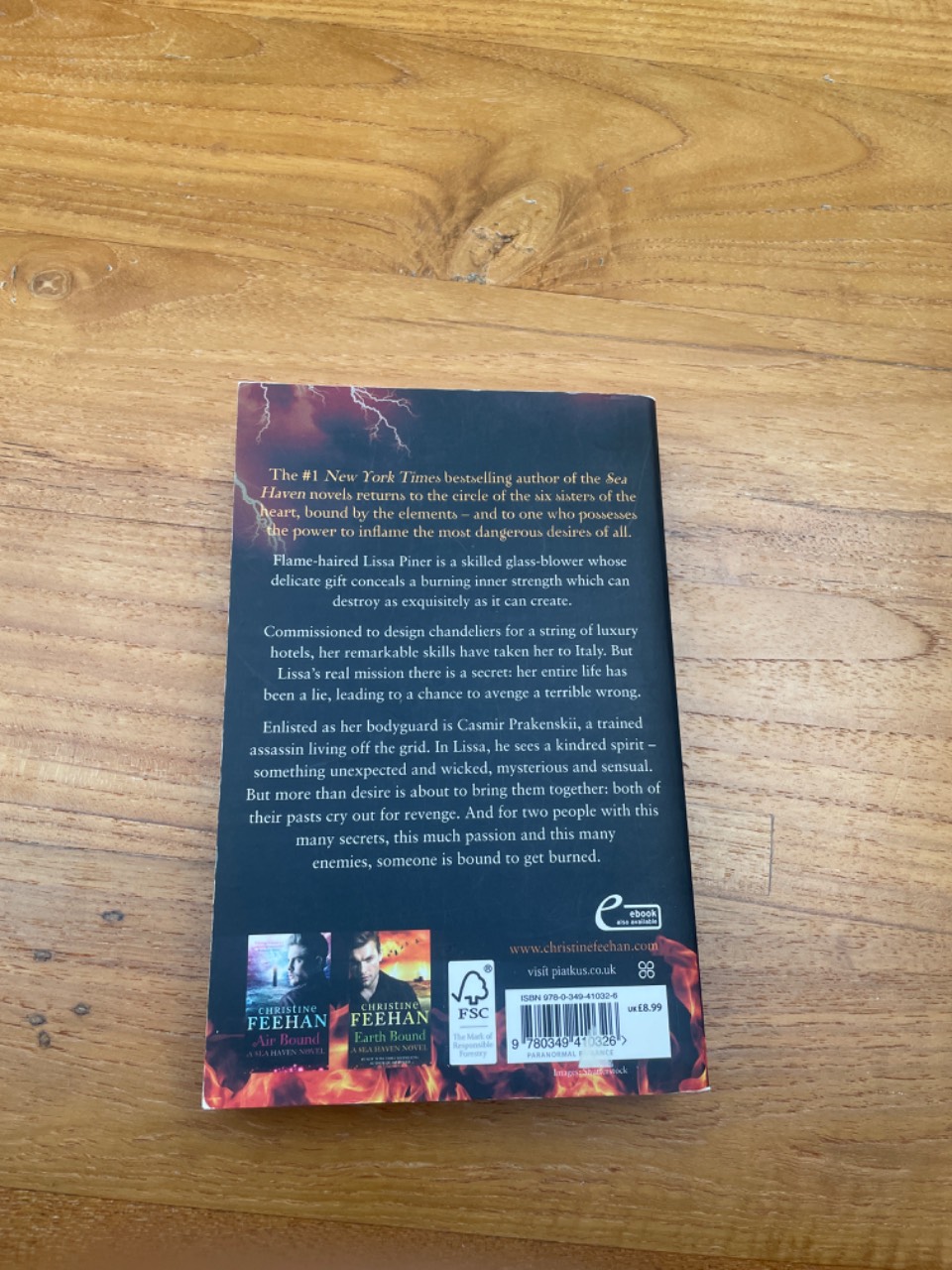 Fire Bound - Image 2
