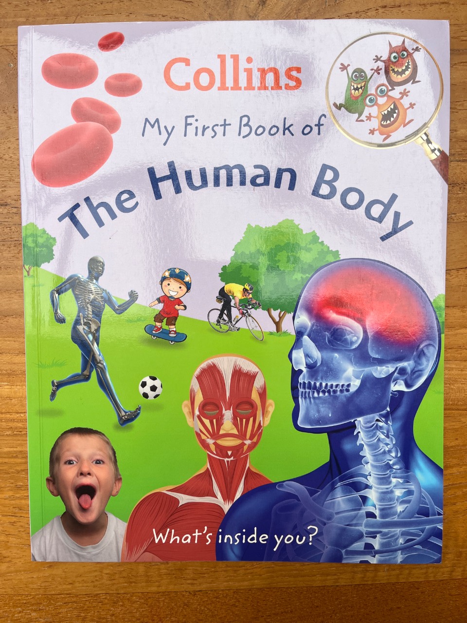Collins My First Book of the Human Body