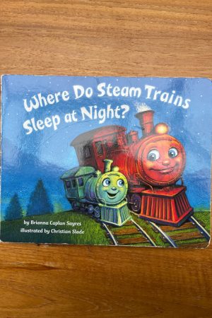 Where Do Steam Trains Sleep at Night?