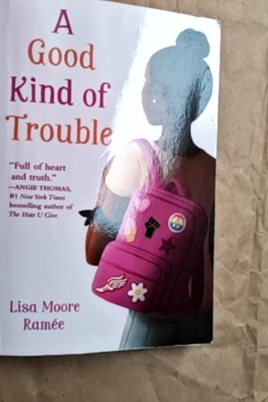 A Good Kind of Trouble