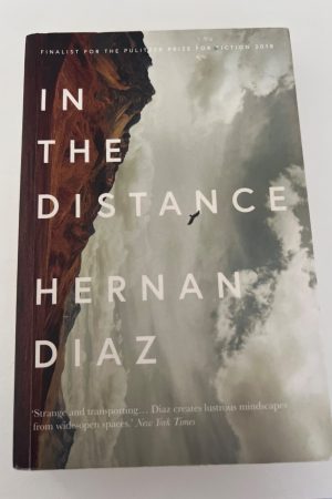 In the Distance