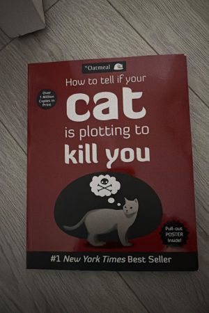 How to Tell If Your Cat Is Plotting to Kill You
