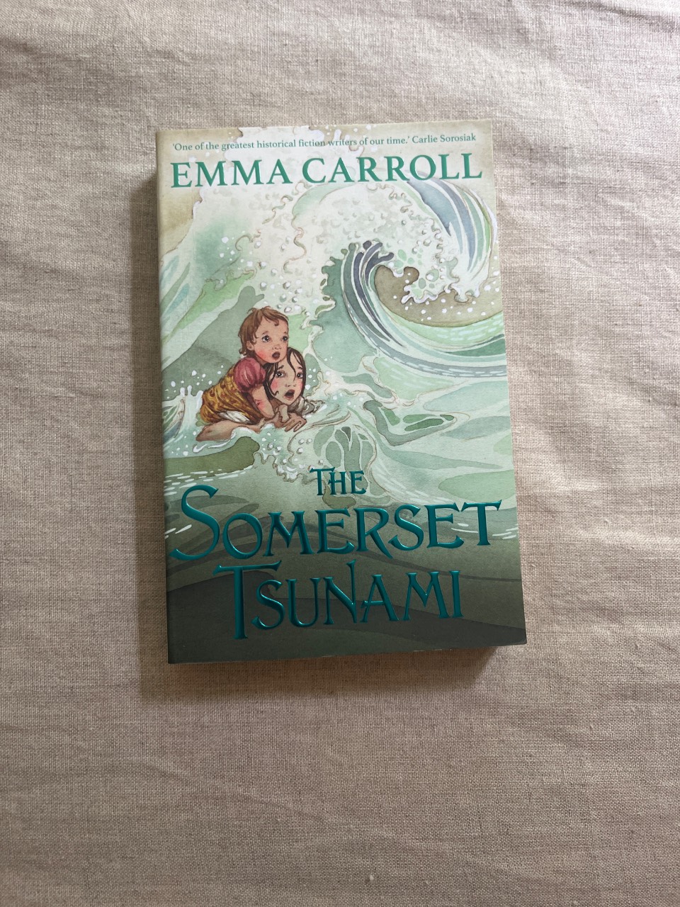 The Somerset Tsunami 'the Queen of Historical Fiction at Her Finest. ' Guardian