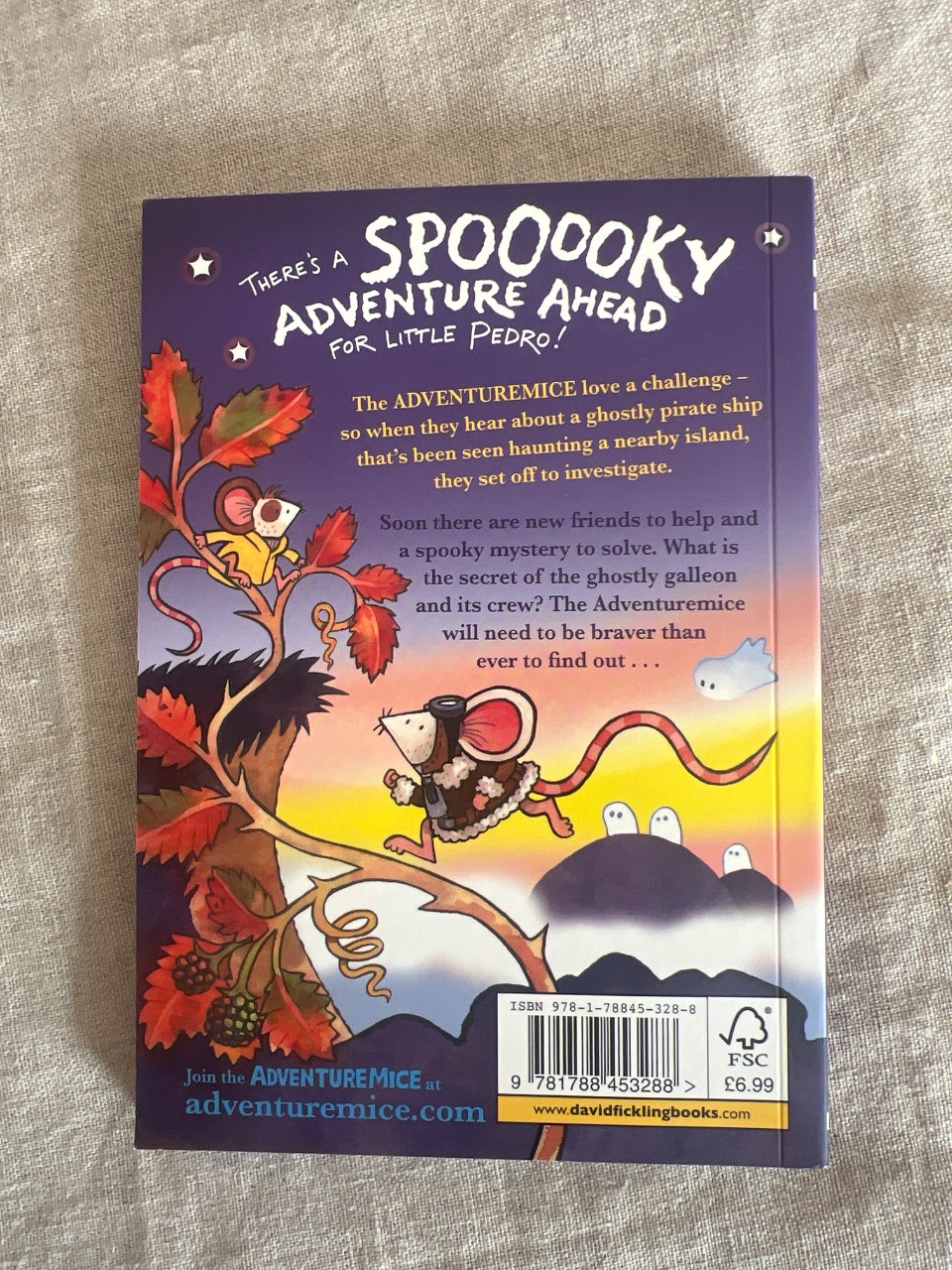 Adventuremice: The Ghostly Galleon - Image 2